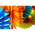 thumbnail image 3 of Peck, Gail 24x17 Black Modern Framed Museum Art Print Titled - Paper Flowers, 3 of 5