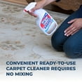thumbnail image 3 of Simple Green Ready-to-Use Carpet Cleaner 32 oz, 3 of 6
