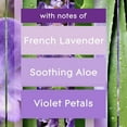 thumbnail image 4 of Glade Plugins® Air Freshener Oil Refill, Tranquil Lavender & Aloe, 4 of 9