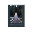 thumbnail image 1 of Póster Motivacional Perseverancia Educatodo B-3521-I, 1 of 2