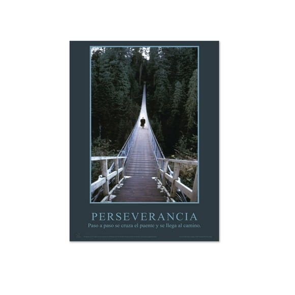 Póster Motivacional Perseverancia Educatodo B-3521-I