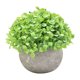 thumbnail image 1 of Plantas artificiales Plástico Falso Mini Hierba verde Flor Topiary Arbustos Wmkox8yii  HKAHFKAH19, 1 of 2