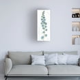 thumbnail image 2 of Trademark Fine Art "Rainbow Seeds Flowers VI" Canvas Art by Lisa Audit, 2 of 4