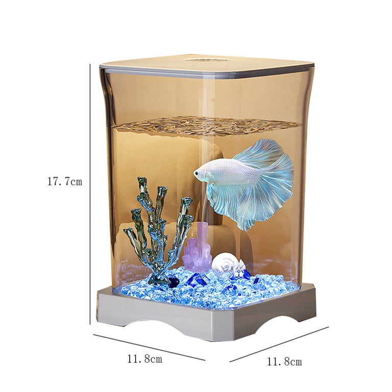 Narrow Glass Aquarium Fish Tank Lid Clear Glass Fish Bowl - Small ...