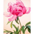 thumbnail image 1 of Taladro Diamante Pintura (DE0965) 5D DIY Flor completa Bordado Mosaico Kit (W0102) 40x50cm Hugtrwg Para estrenar, 1 of 2