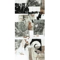 thumbnail image 2 of Goldberger, Jennifer 18x32 Black Ornate Wood Framed with Double Matting Museum Art Print Titled - Reconstructed II, 2 of 4