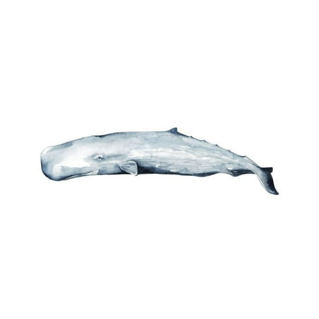 - Whale Portrait II Watercolor Coastal Style Sea Animal Illustration Print Wall Art By Grace Popp