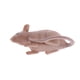thumbnail image 4 of Animal Modelo Figurita Juguetes Decoración Del Hogar SM SunniMix Juguete de figura de animal, 4 of 6