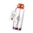 thumbnail image 4 of Regalos en frasco para el Día de San Valentín: Llave de mi corazón, botella de deseos para ella, regalo romántico 1 pieza, 4 of 9