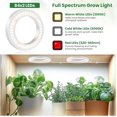 thumbnail image 4 of .” Grow Lights for Indoor Plants K LEDs Full Spectrum Indoor Plant Light with H Timer Color Modes Under Cabinet Growing Lamp with ft Power Cord (Head), 4 of 7
