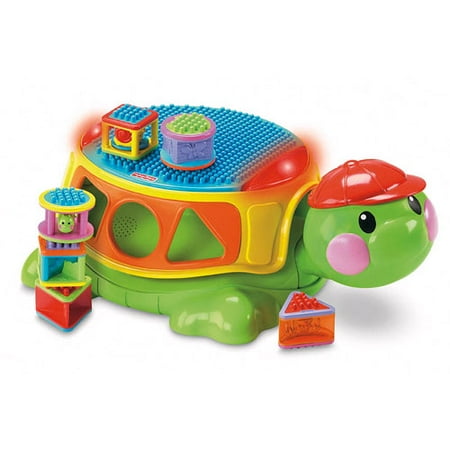 Build And Spill Musical Turtle
