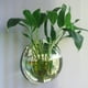thumbnail image 5 of Tanque de acuario,Decoración del hogar Montaje en pared Tanques de peces Goldfish Bowl Acrílico Colg Abody 230 mm y tipo 1, 5 of 7
