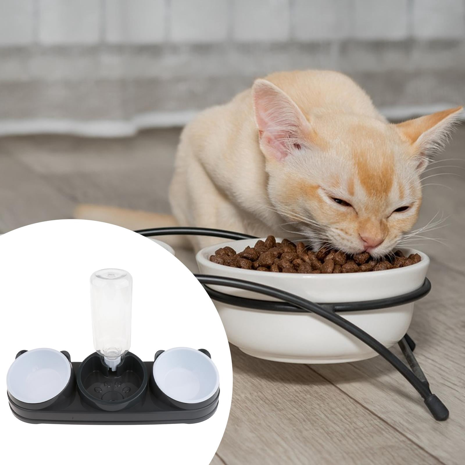 Cat Feeding Bowls Raised Waterer Food Tray Ergonomic Tilt PP Material for Indoor Cats and Puppies