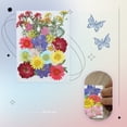 thumbnail image 4 of Flores secas naturales Artesanía en relieve Ramos de flores prensadas Decoraciones florales secas Regalos de suministro de hogar para tarjetas de boda Vela Verano Scienceny HA010752-09, 4 of 7