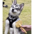 thumbnail image 3 of Cepillo para pelo largo Bamboopet 100% bambú Natural Biodegradable, 3 of 4