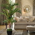 thumbnail image 2 of Laura Ashley Home Lipstick Palm Tree in Planter, 2 of 2