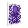 thumbnail image 2 of Trademark Fine Art 'Purple Octopus' Canvas Art by Fab Funky, 2 of 3
