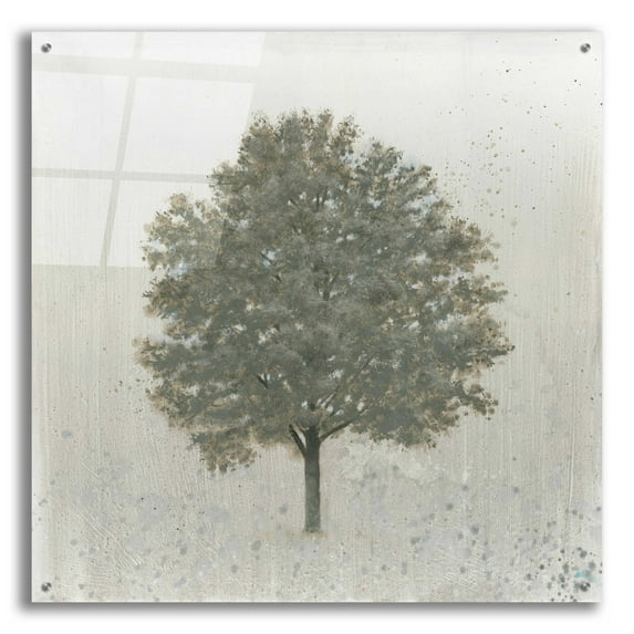 Epic Art 'Neutrality' by James Wiens, Acrylic Glass Wall Art, 36"x36"