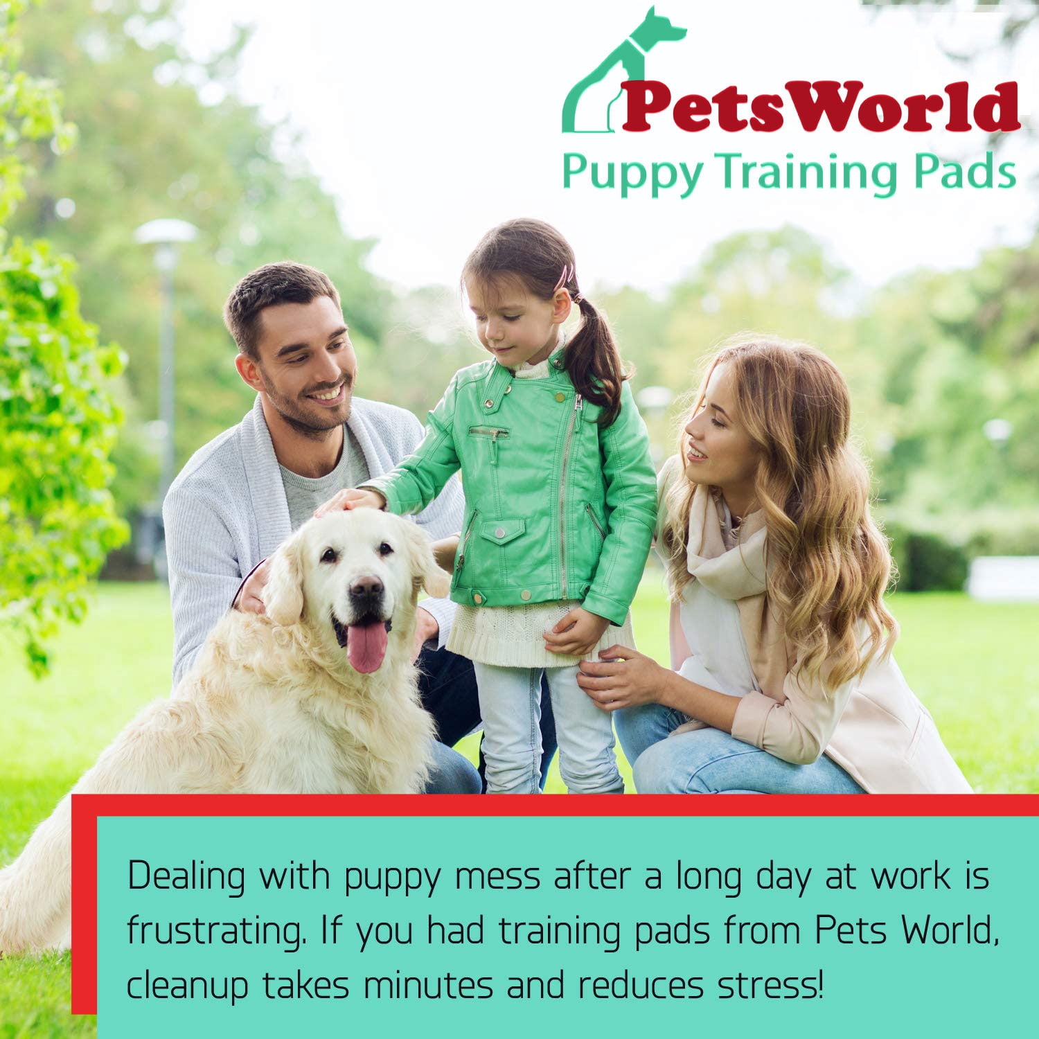 PetsWorld Pet Supplies Heavy Absorbent Adult Dog Pads, 30 X 36 Inches, Pee Pads, 300 Count training Puppy Pads 2-extra Large