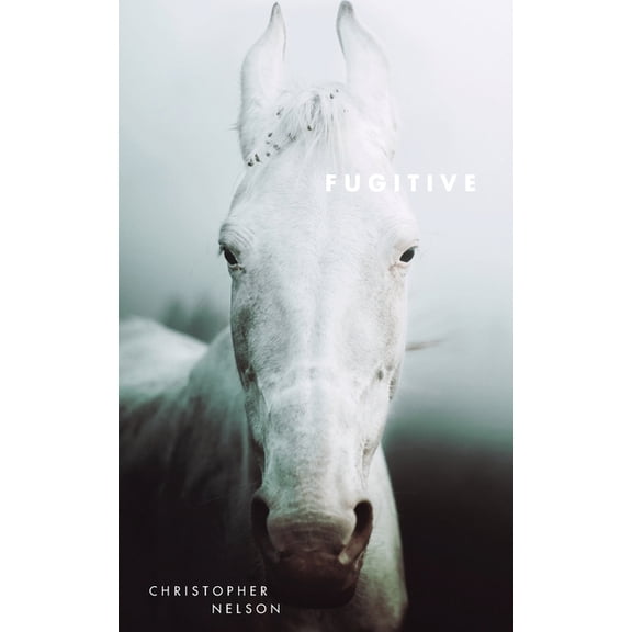 Fugitive (Paperback)