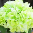 thumbnail image 3 of Enova Home Artificial Flowers Large Silk Hydrangea Fake Flowers Arrangement in Cylinder Glass Vase with Faux Water for Home Office Wedding Decoration (Green), 3 of 4