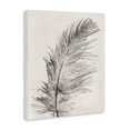 thumbnail image 3 of Stupell Industries Bohemian Boho Windswept Feather Canvas Art, 16 x 20, by Pernille Folcarelli, 3 of 8