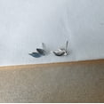thumbnail image 3 of Leaf Stud Earrings in Sterling Silver,Gold,Silver,Small Leaf Stud,Dainty Plant Leaf Earrings,Simple Everyday Earrings,Nature Inspired Earrings, 3 of 6