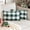 White and Green, variant on Pack of 2 Classic Farmhouse Buffalo Check Plaids Polyester Linen Soft Solid Grey and White Decorative Throw Pillow Covers Home Decor Outdoor Cushion Case for Sofa Bedroom 12 x 20 Inch
