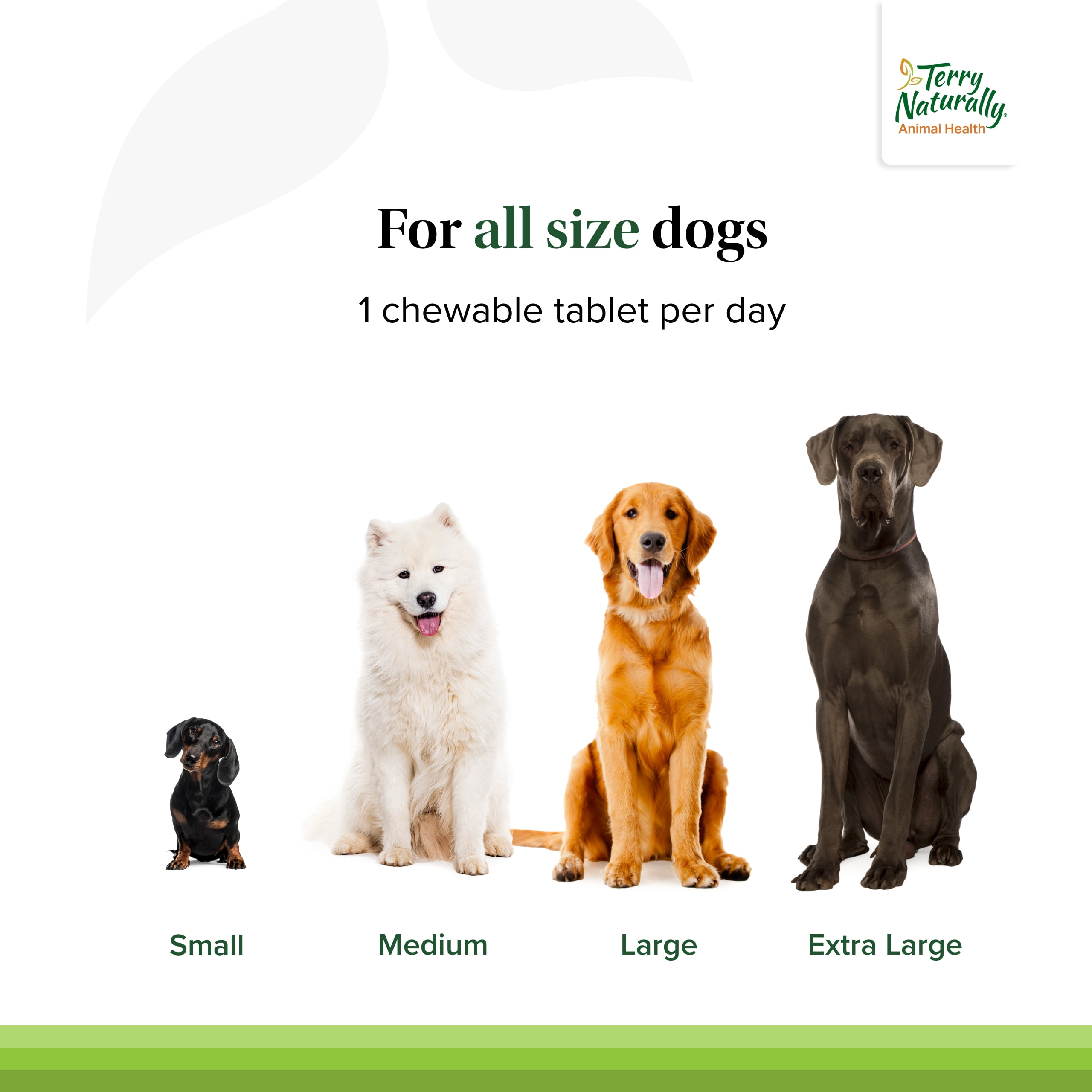 Terry Naturally Animal Health Probiotic Daily - 60 Chewable Tablets - Probiotics for Dogs