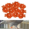 thumbnail image 5 of 100x Reusable Birds Foot Bands Leg Rings Racing Tags Numbered Training Identify Tool for Small Poultry, , Finch, Parrots , Orange, 5 of 8