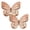 Butterfly, variant on 2 Pack Bird Bath Copper Discs,99.9% Pure Copper Cleaner with Point Support for Clean Water,Universal Fit for Outdoor Birdbaths,Bowl,Bird Bath Solar,All-Season Use