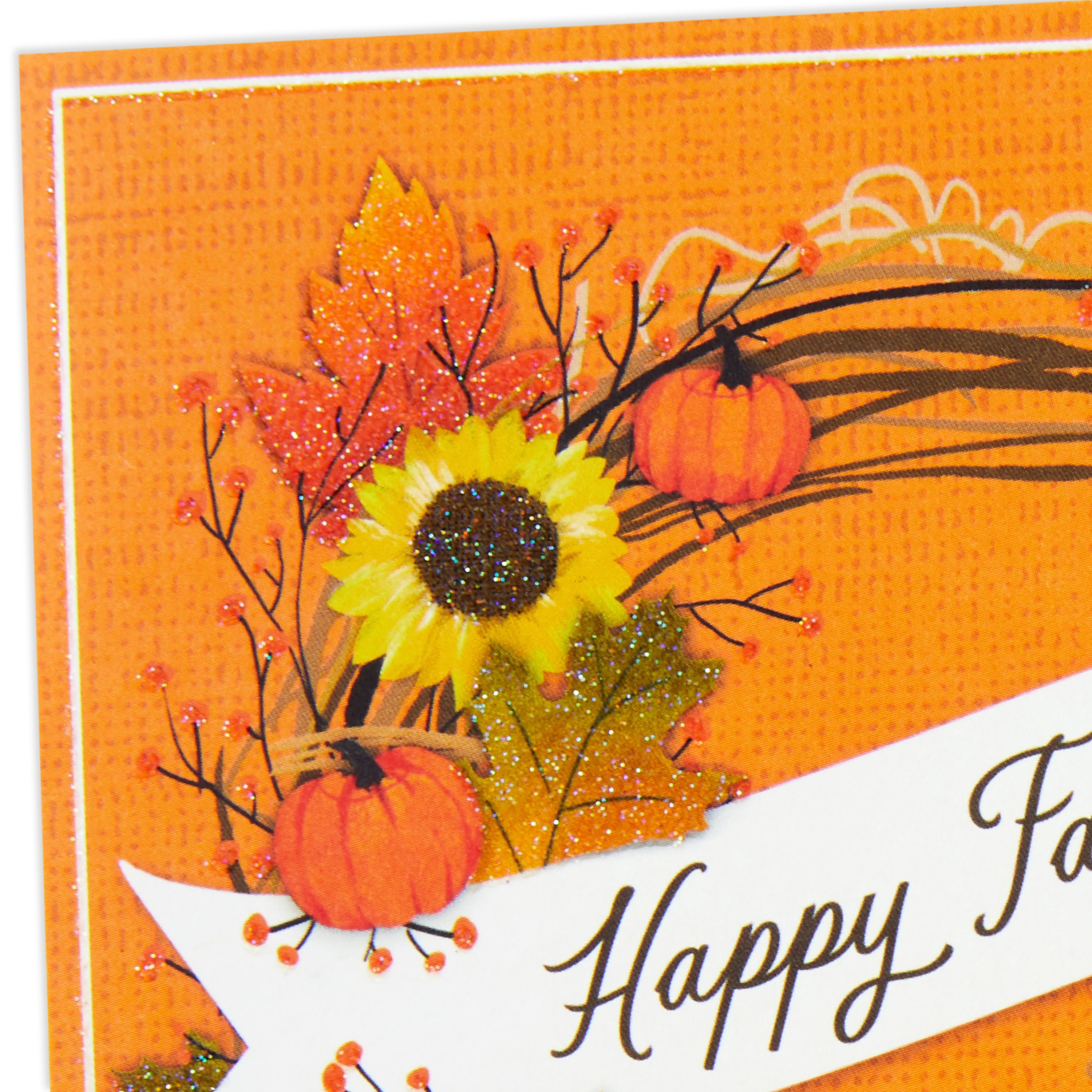 Hallmark Autumn Cards (Cozy Grapevine Wreath), 10 Count