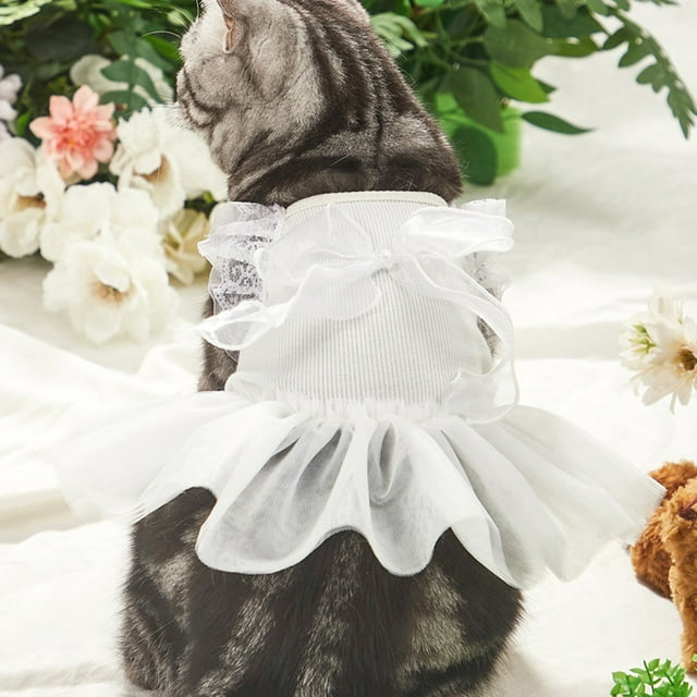 CBFFDC Robe pour Chat en Dentelle Ajourée Patchwork Nœud Papillon Ourlet Plissé Chien Rayé Accessoire de Photographie de Mariage