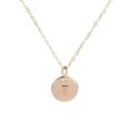 thumbnail image 1 of Pendentif Rond en Forme de Pièce Collier Chaîne de Cou Alphabet Filles Chaîne de Cou Disque Cadeau Fille Femme Bijou, 1 of 8
