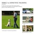 thumbnail image 6 of LNGOOR 2600 FT Remote Dog Shock Training 1 Collar Set Rechargeable Waterproof LCD Pet,Black, 6 of 6