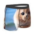 thumbnail image 2 of KLL Cute Guinea Pig Sea Men's Cotton Boxer Briefs Underwear-X-Large, 2 of 8