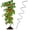 Black1, variant on Clearance! Denhf 1Pc Plant Support Stakes, Windproof Tomato Twist Stake, Climbing Frame for Plants, Plant Supports Frame for Tomato Rose Vine, Tomato Spiral Stakes, Spiral Trellis, 16.9 Inch, Black