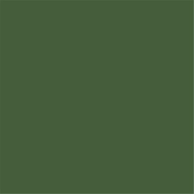 Mission Models MIOMMP-032 Bouteille de Peinture Acrylique Modèle 1 oz, Vert Russe Moderne