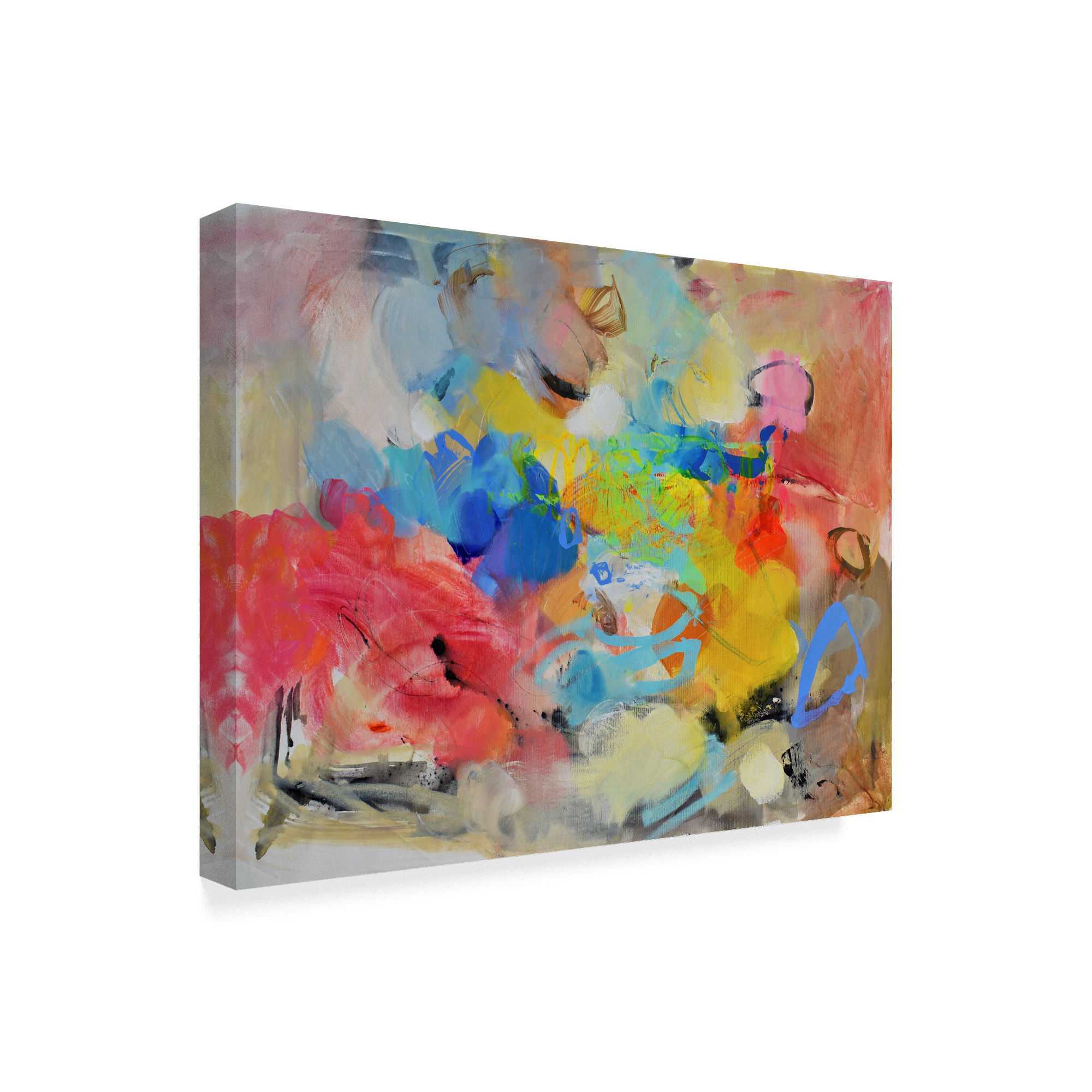 Trademark Fine Art 'Oil Paint' Canvas Art by Gabi Ger