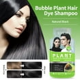 thumbnail image 2 of Flaremore Black Hair Dye Shampoo for Gray Hair, Semi-Permanent Hair Color Shampoo for Women and Men, Herbal, 3 in 1 100% Grey Cover 30ML, 2 of 12