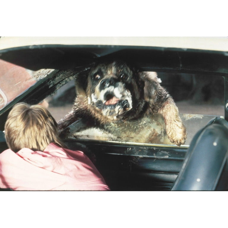 KL Studio Classics - Cujo [ULTRA HD] - Walmart.com