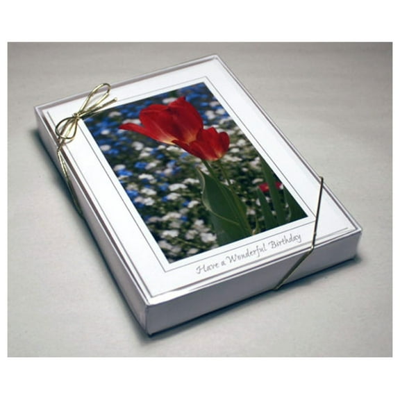 Greeting Card Boxes A7 - 10 Pack - White Embossed Cardboard Boxes with Clear Vinyl Lid & Ribbon - 5x7 Inch Cards