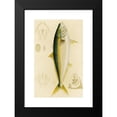 thumbnail image 2 of Frederick McCoy 10x14 Black Modern Framed Museum Art Print Titled - Fishes IV (1885-1890), 2 of 5