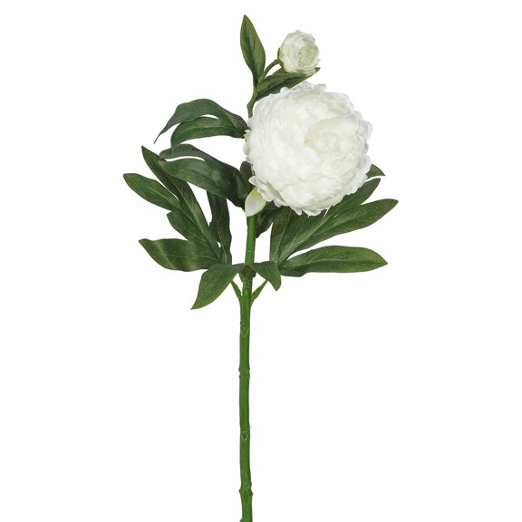 Vickerman 24" Artificial Cream Peony Stem, Set of 3
