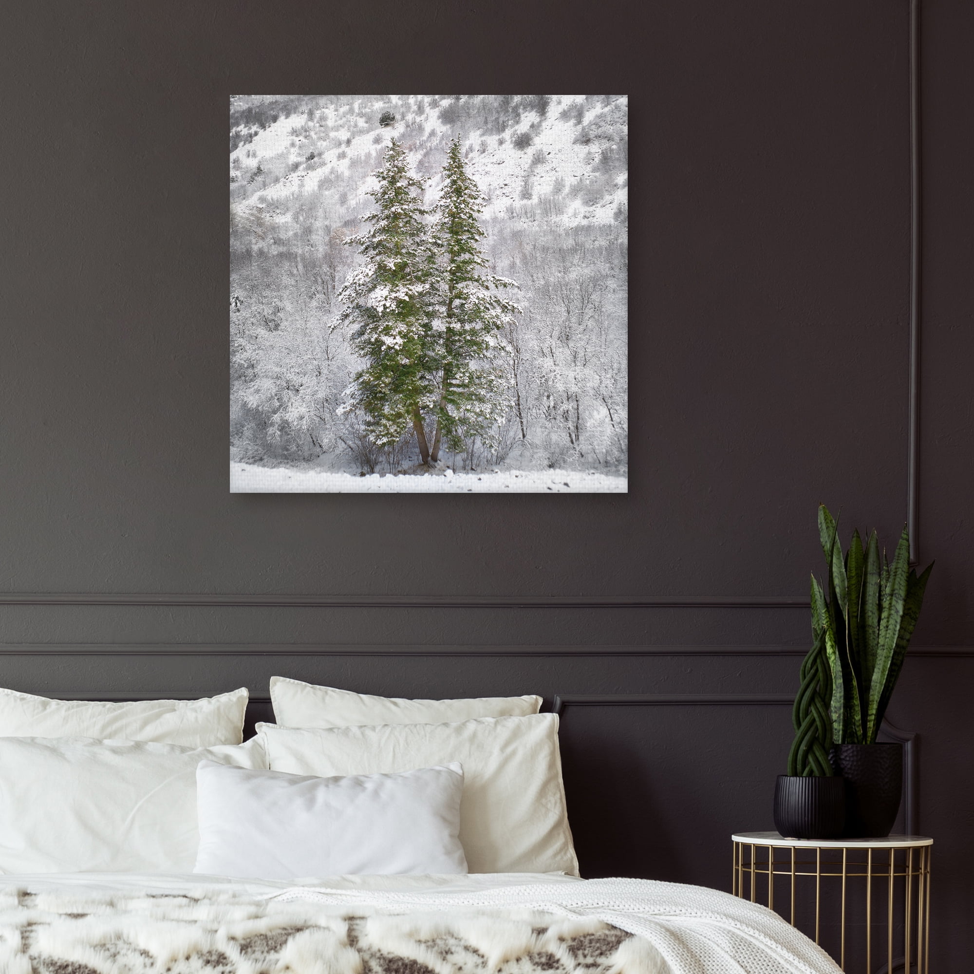 Snow Trees by Chris Dunker Canvas Art Print