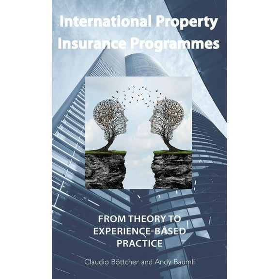 International Property Insurance Programmes : From Theory To Experience-based Practice (Hardcover)