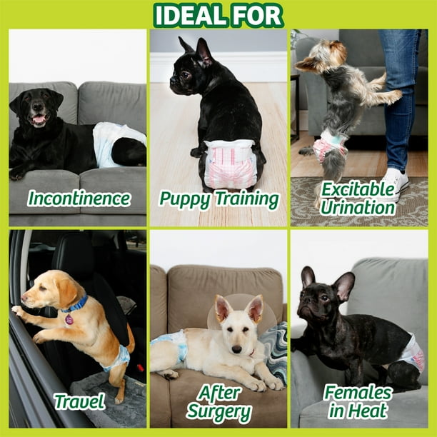Do Dog Diapers Work For Training