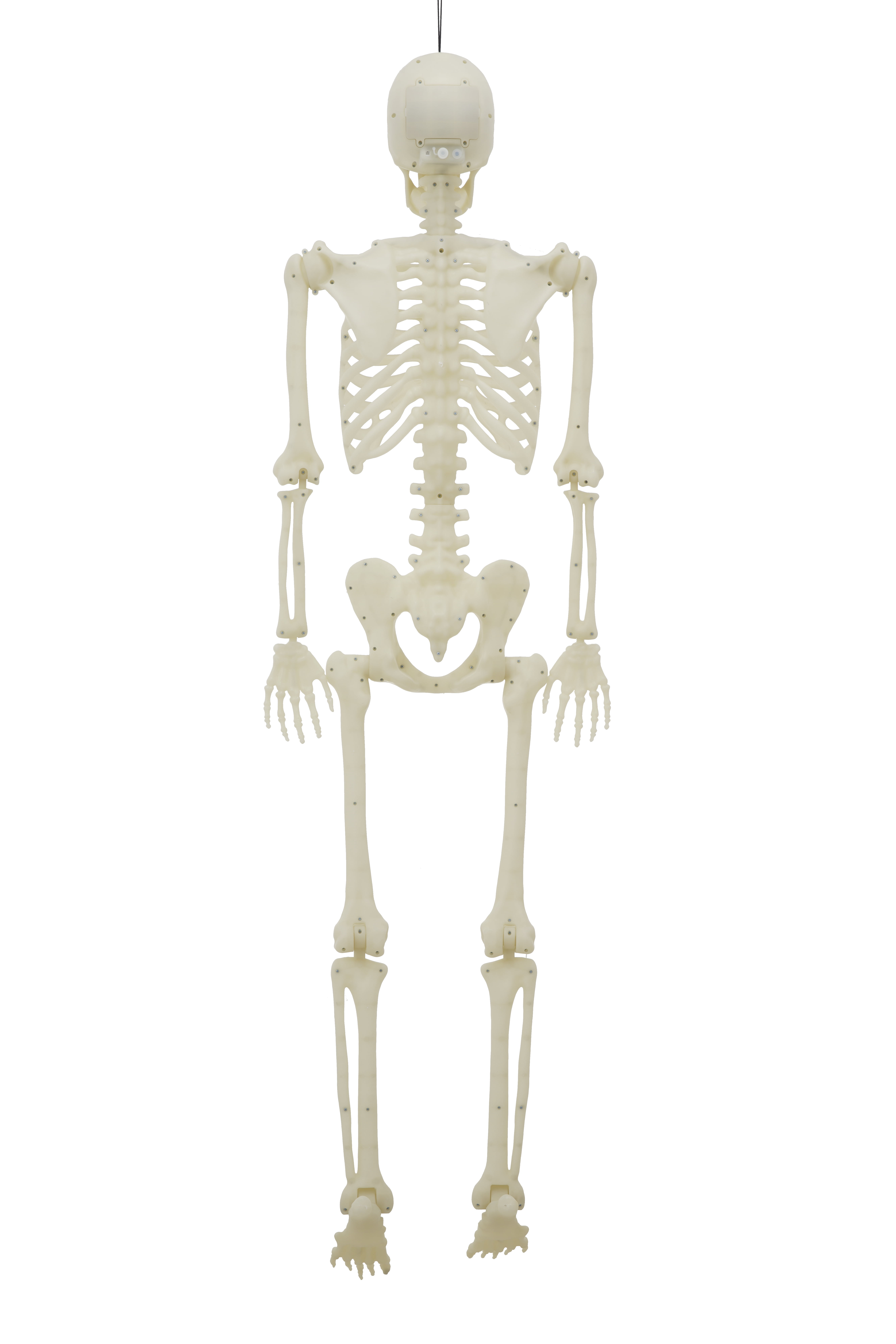 5-Foot Poseable Rainbow LED Illuminated Skeleton, Halloween Hanging Decoration, by Way to Celebrate