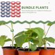thumbnail image 3 of HEANUJJ Flexible Para Plantas Con Uso En Jardinería Y Manualidades En Colores Surtidos, 3 of 5