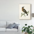 thumbnail image 3 of Trademark Fine Art 'Morris Whinchat' Canvas Art by Morris, 3 of 4